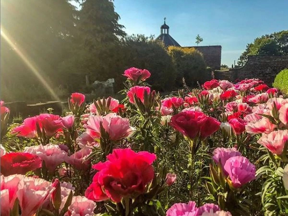 fancy picking the flowers for your wedding? these fields will be