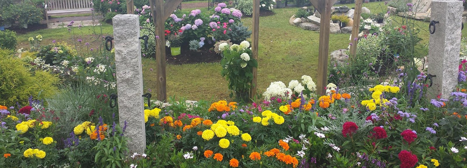 robin's flower pot - garden center & nursery