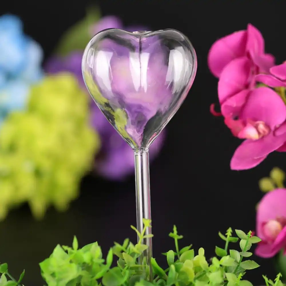 glass watering sprinkler terrarium container garden house plants flowers  automatic self watering devices love shape dropshipping