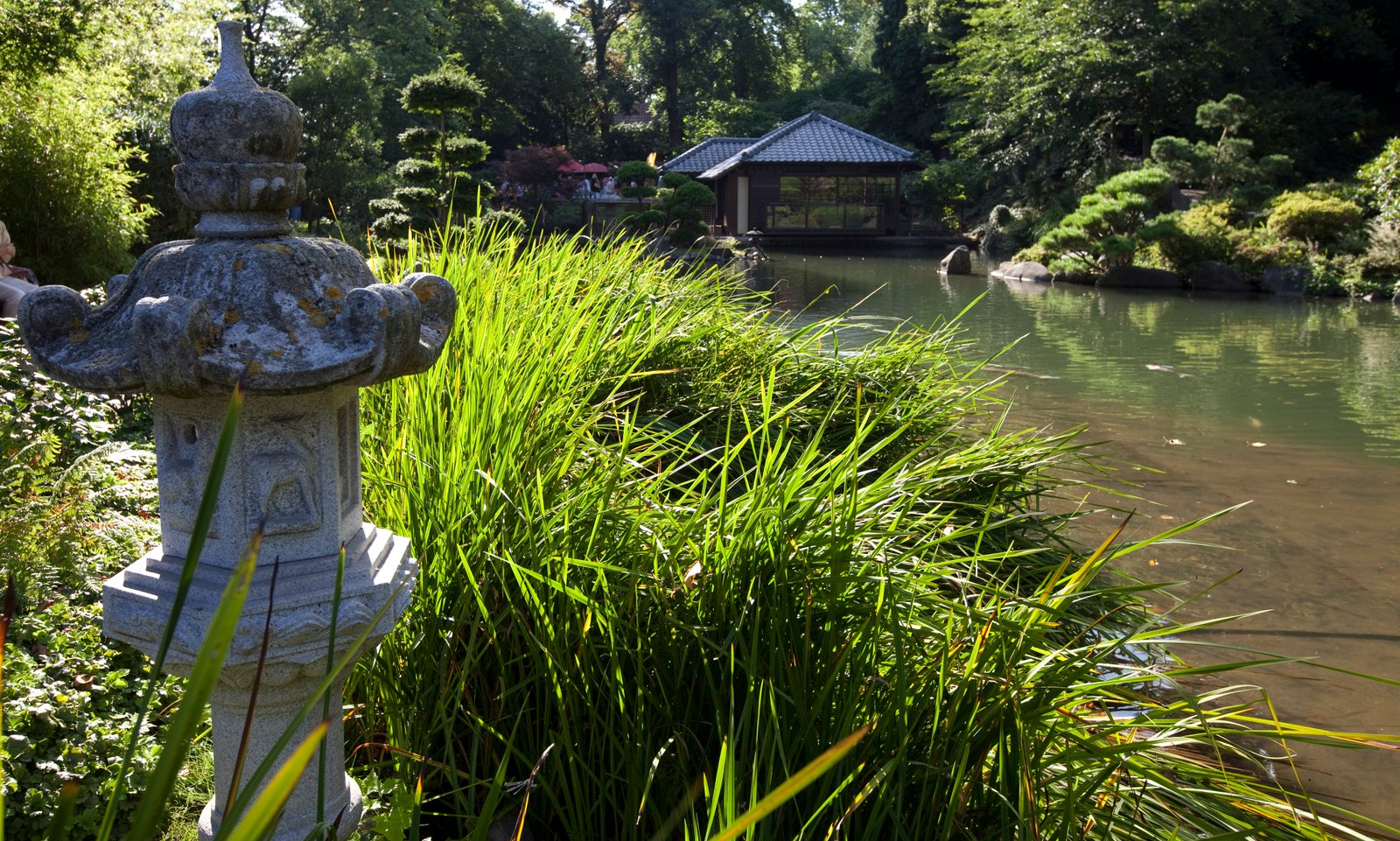 japanese garden - stadt kaiserslautern