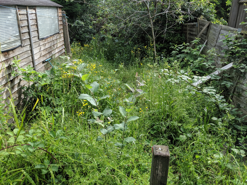 gardener northampton