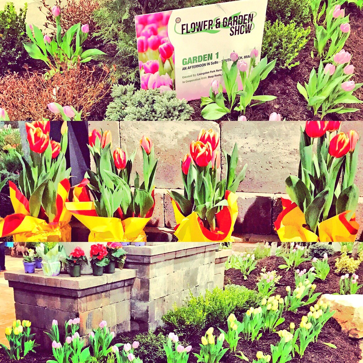 njflowershow hashtag on twitter