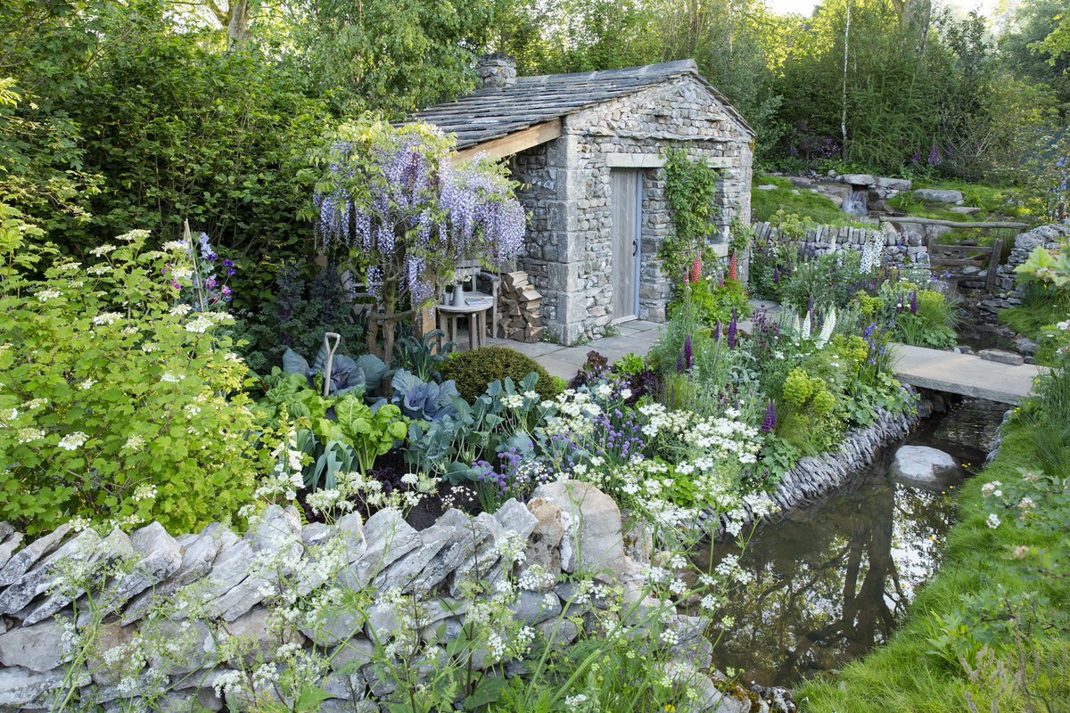 welcome to yorkshire on twitter: "?vote: after winning a gold medal