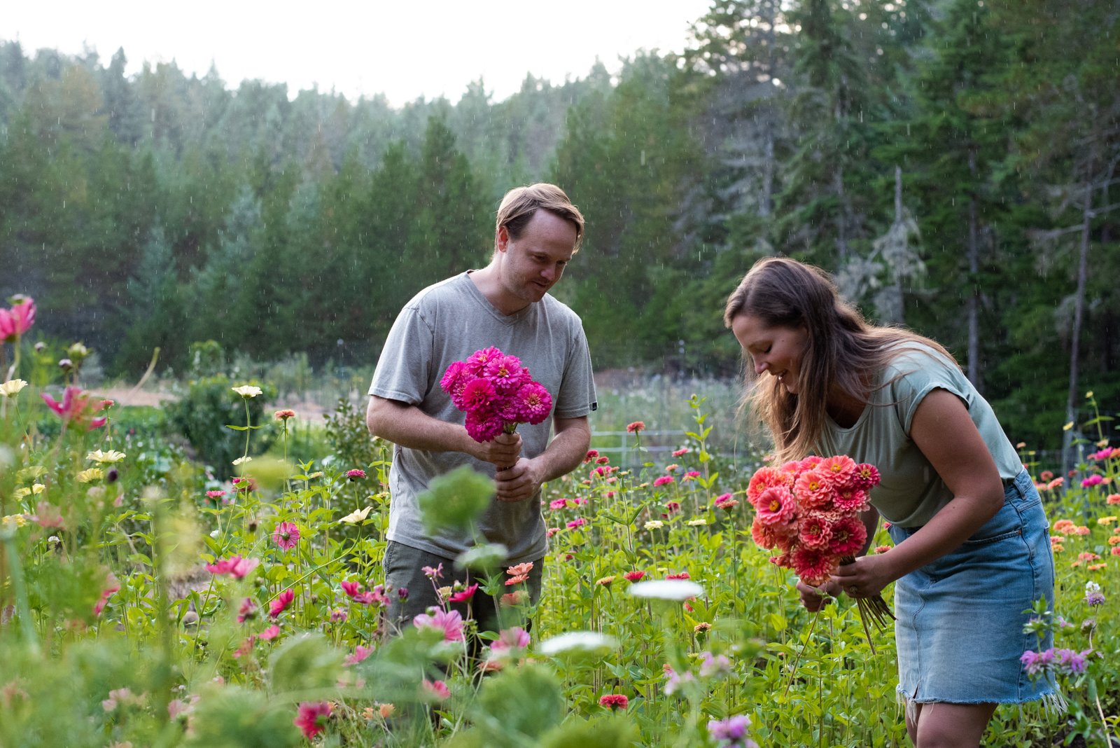 the farm | qualicum beach | vertgen farms