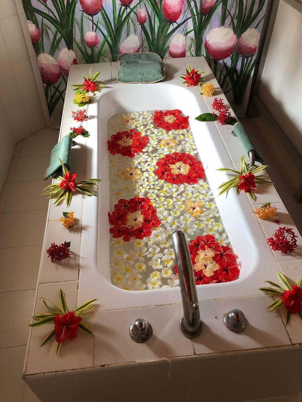 lanka princess ab 72€ (1̶1̶2̶€̶): bewertungen, fotos