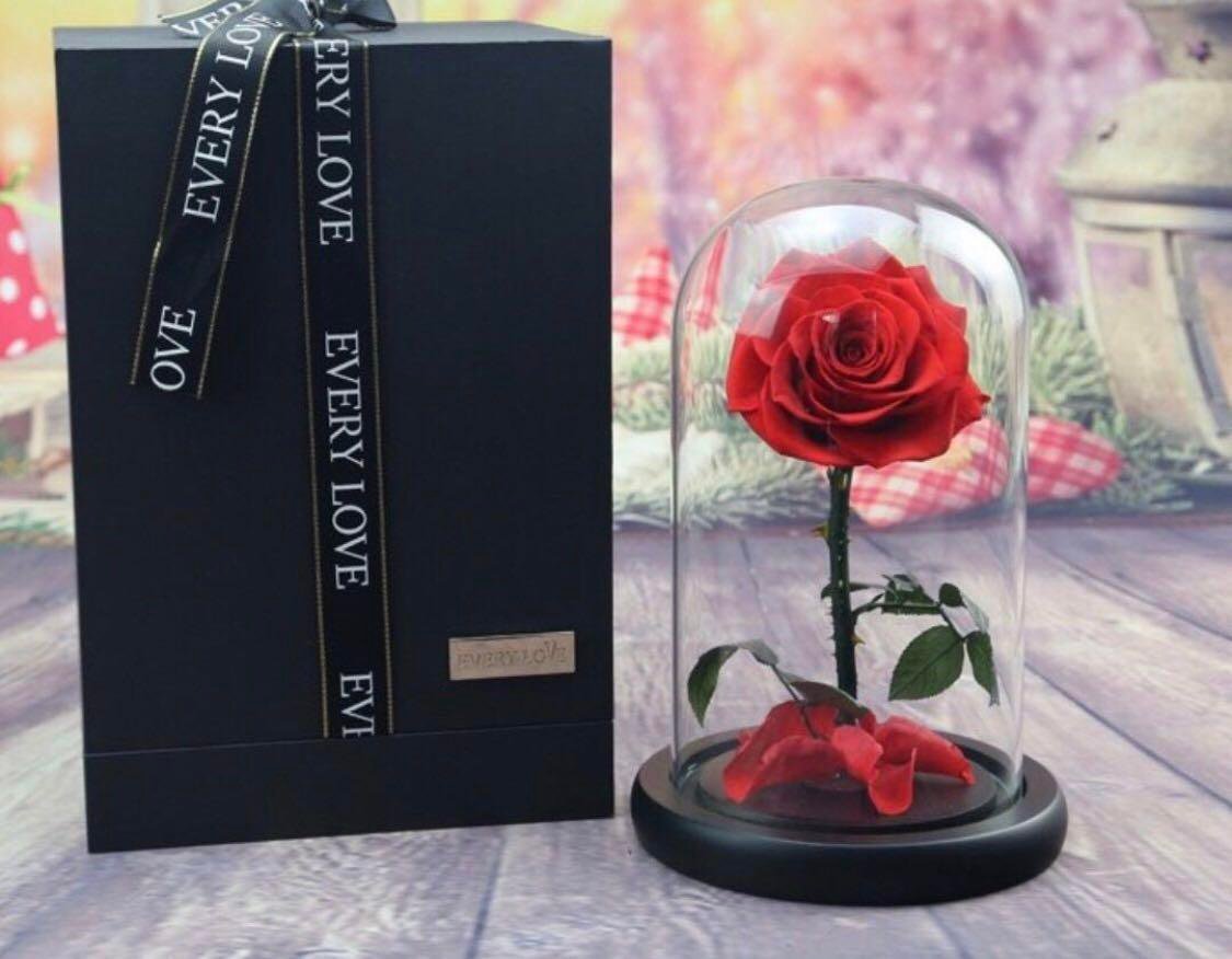 extra large premium glass real flower display bell jar ecuadorian