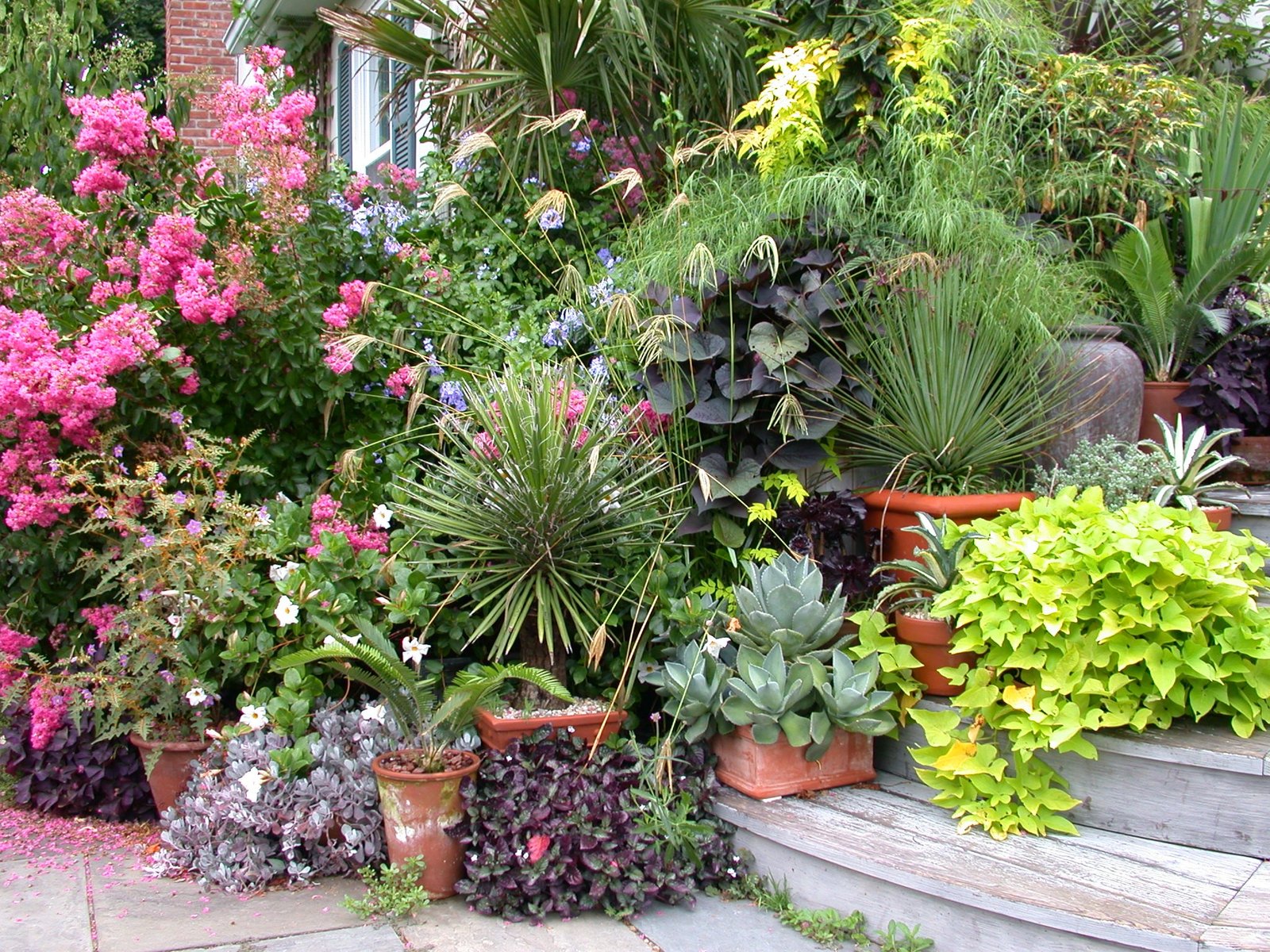 garden shots landcraft environments wholesale tropical plants for