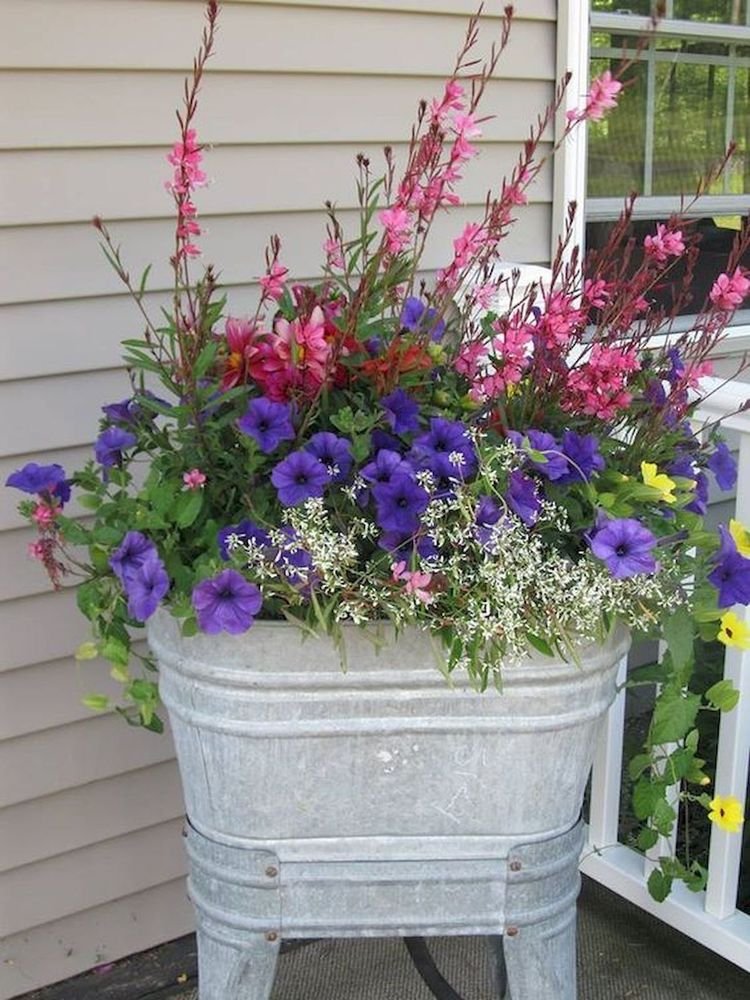 pin by traci lentz-longstreth on traci | container garden design