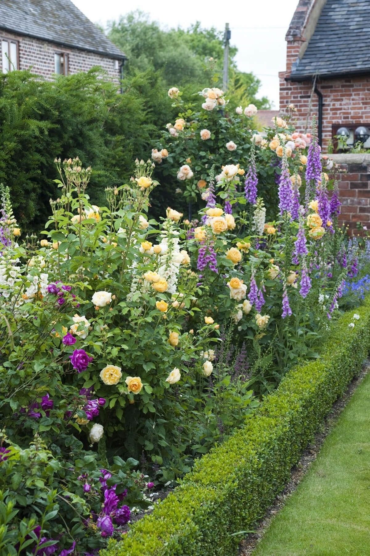 tall border with roses and snapdragons #englishgardens | landscaping
