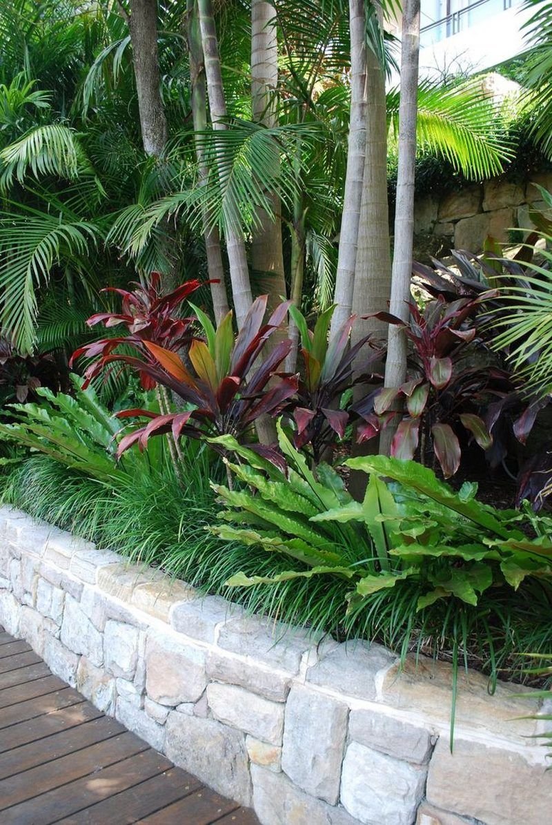 tropical landscaping florida wisconsin's tropical gardens inc