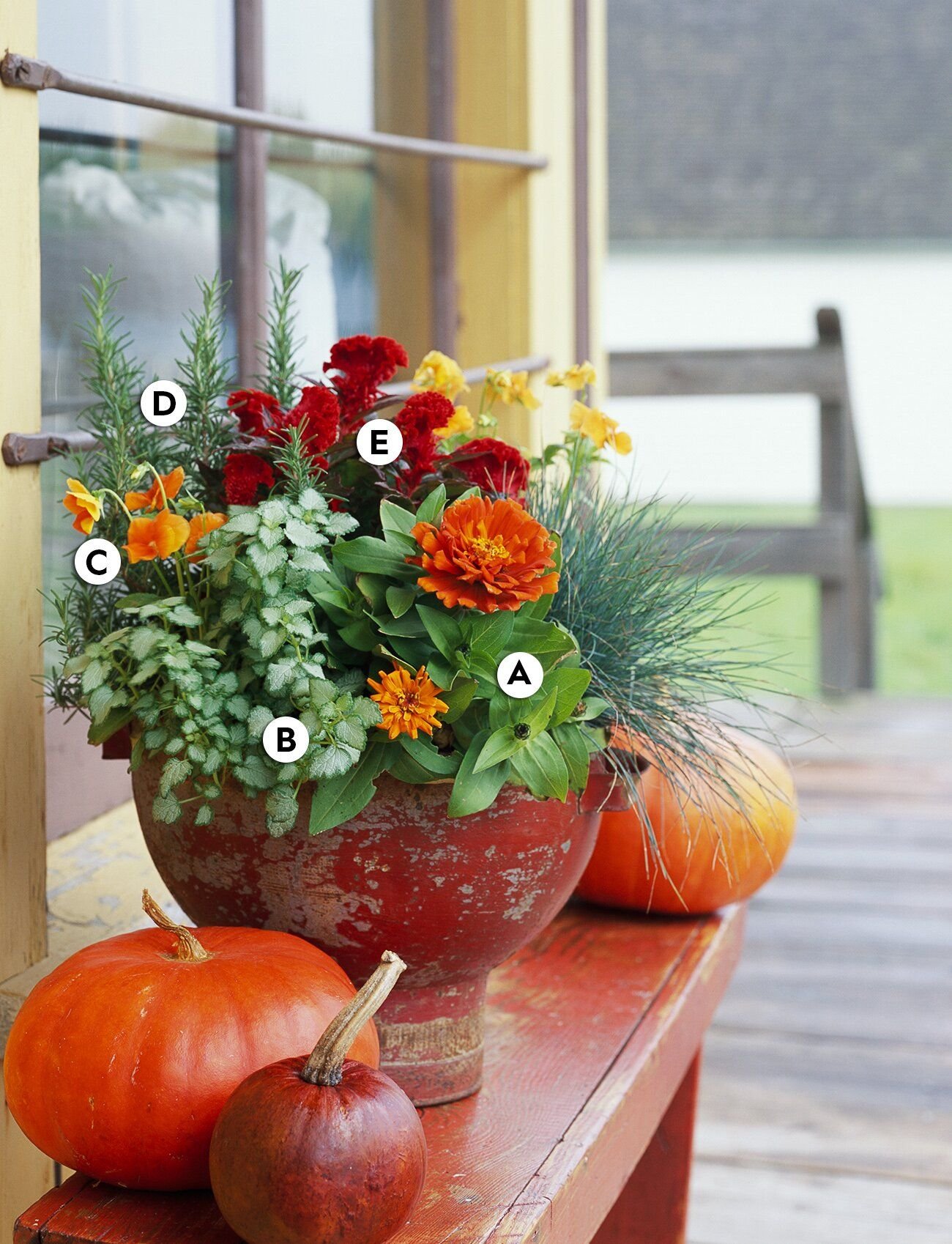 31 gorgeous fall container garden ideas to try right now | fall