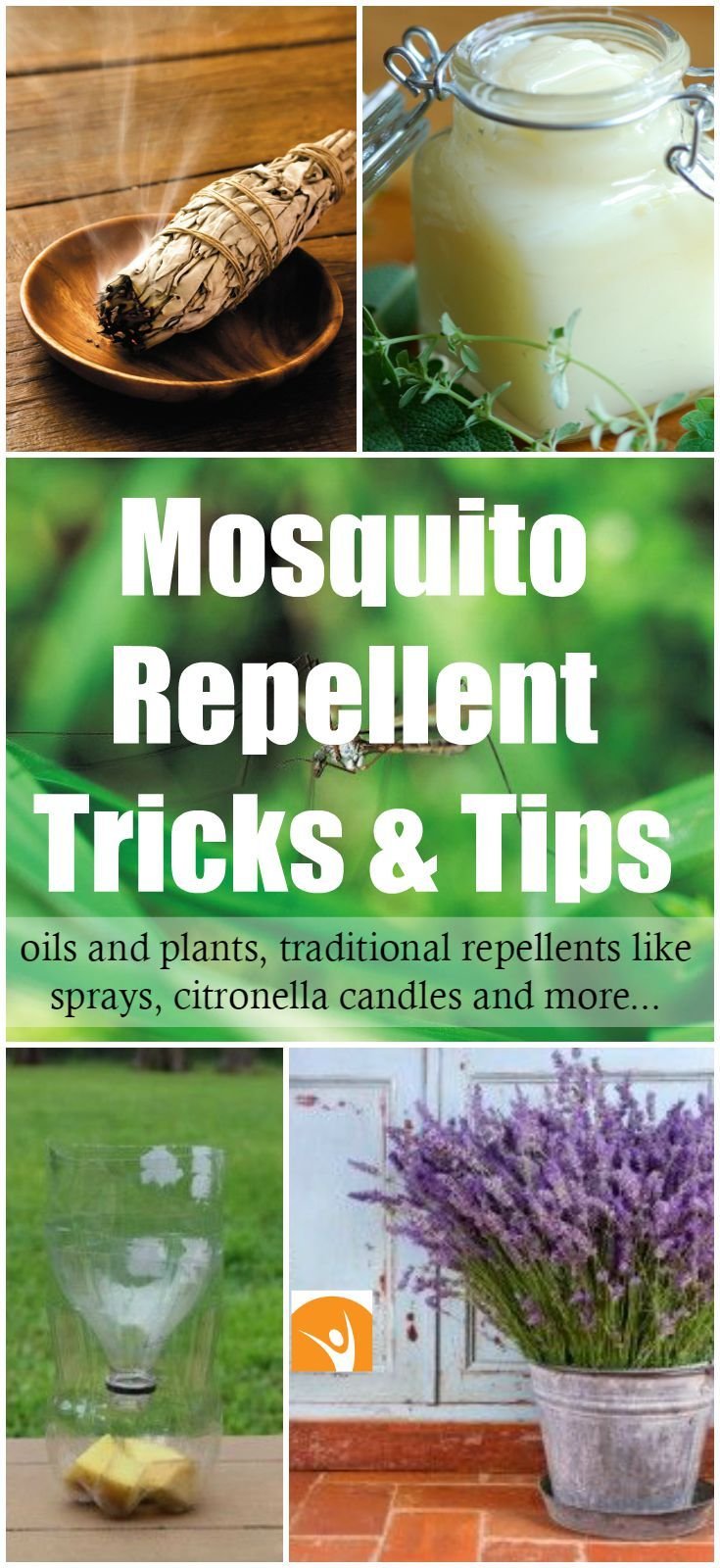 how to get rid of mosquitoes with easy natural remedies! | healthy