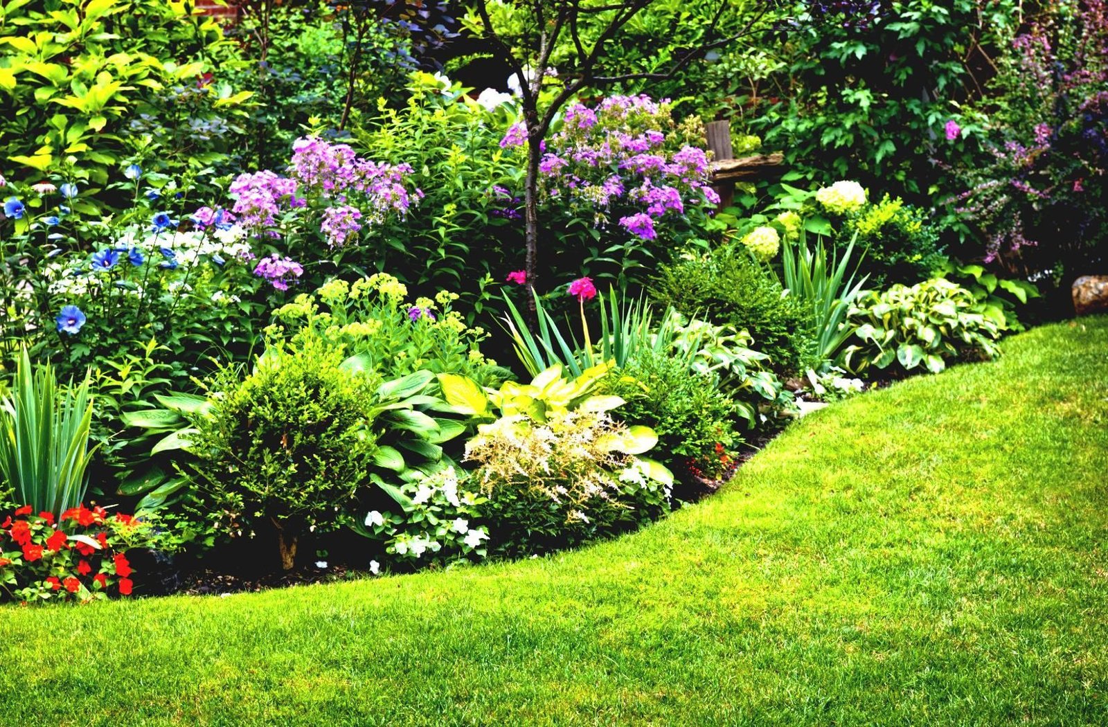 perennial gardens ideas | homsgarden