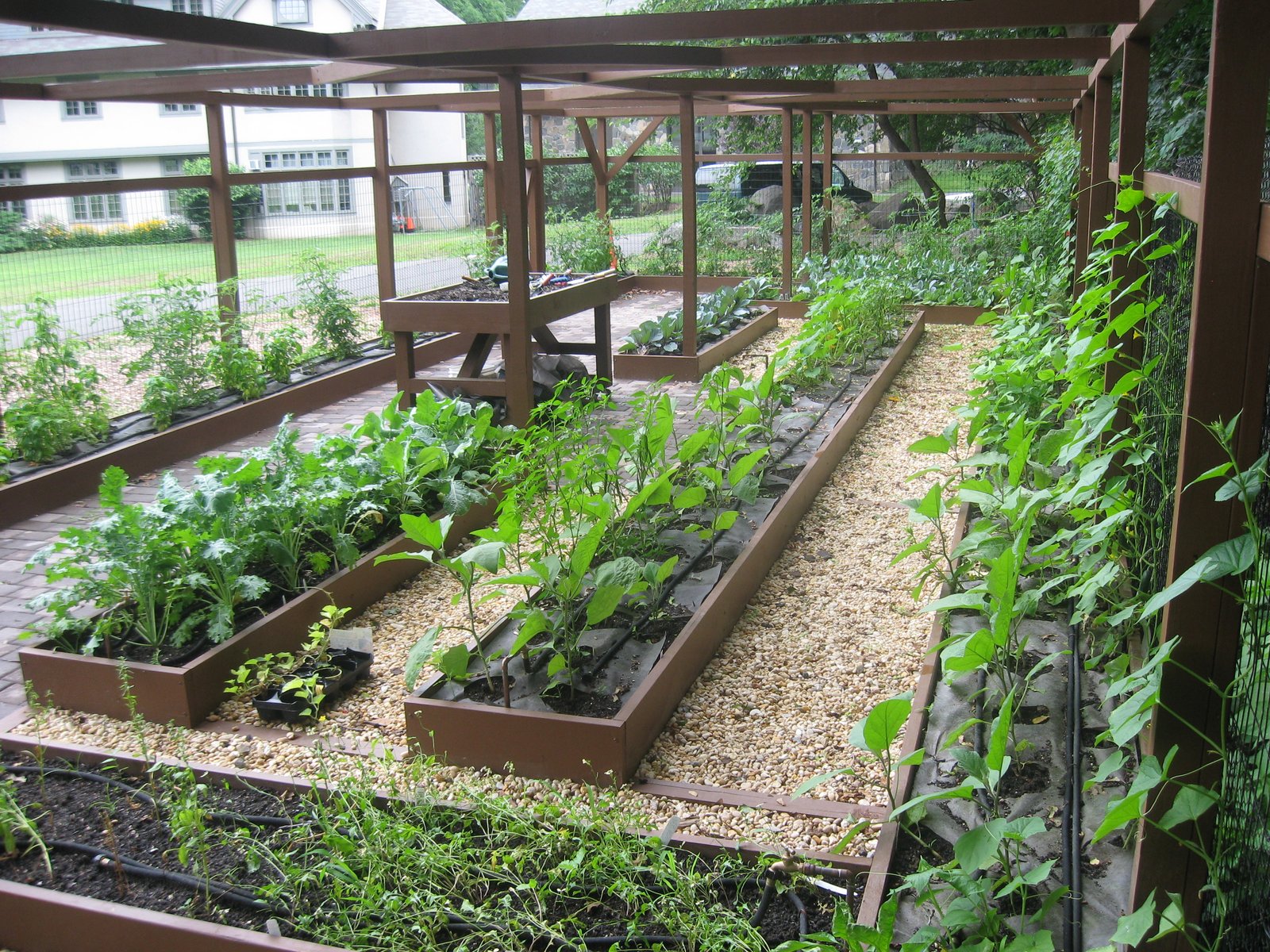 interesting home vegetable garden ideas with vegetable garden ideas
