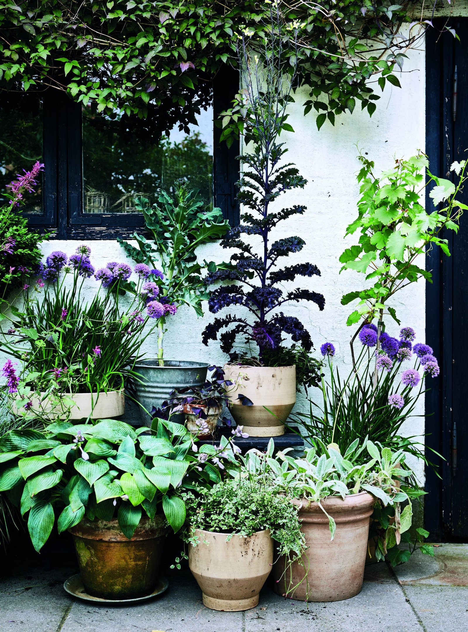 container gardening for small spaces | apartment ideas | garden