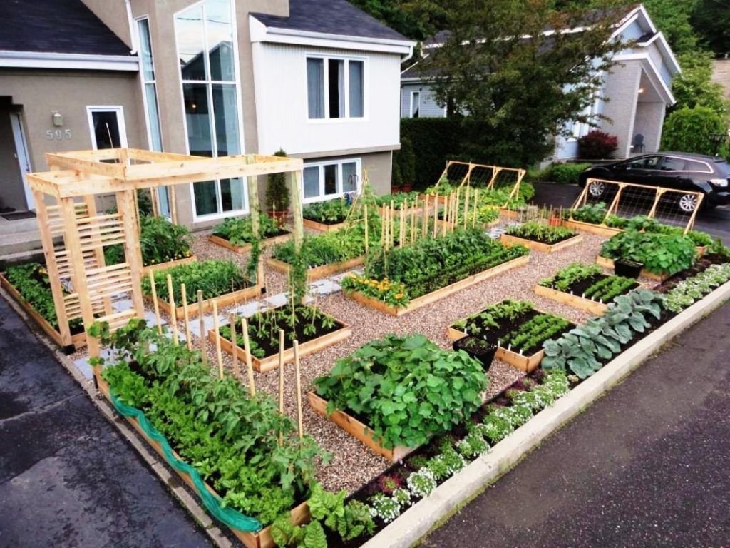 garden ideas:backyard designs growing vegetables in florida florida
