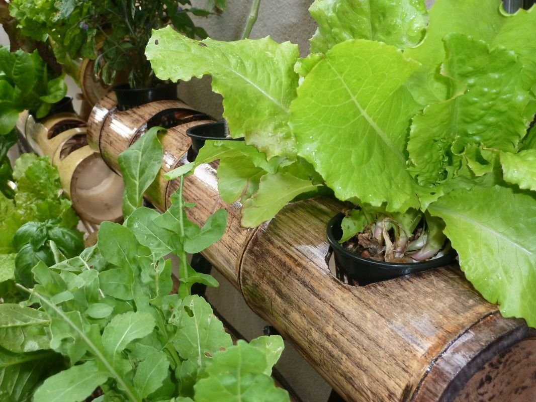 VGS Bamboo 30 - Vertical Gardening Systems | Kitchen ...