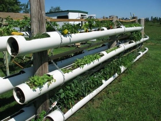 DIY Hydroponic Garden Tower Using PVC Pipes | Vertical ...