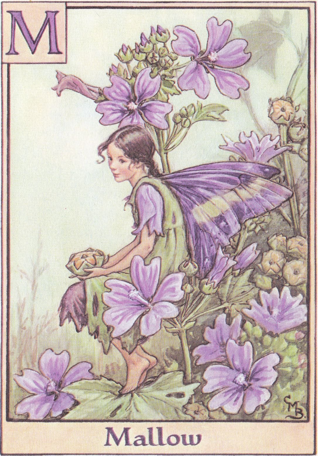 from 'a flower fairy alphabet' (1934) by cicely mary barker