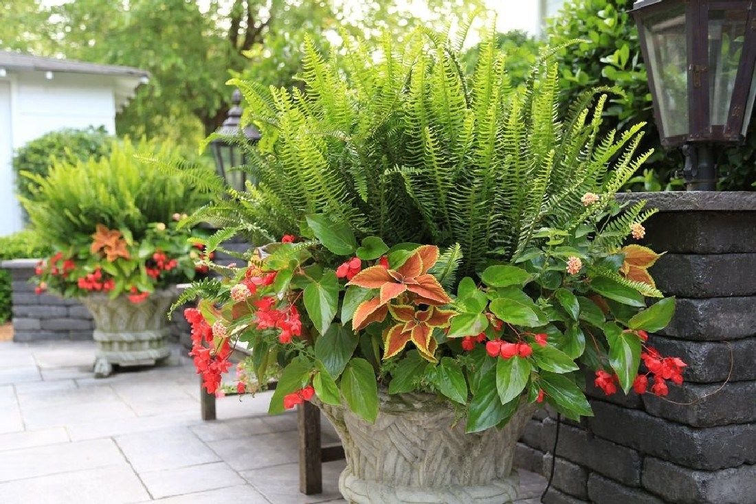 best 15 stunning summer planter ideas to beautify your home | summer