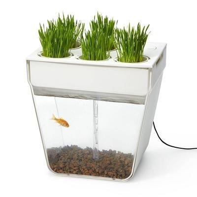 Gift Idea: Back to the Roots 'Aquafarm' Aquaponic Garden ...