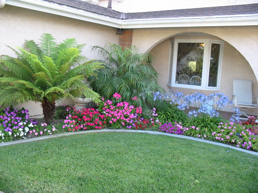 small backyard landscaping ideas | pro-design landscape | yard