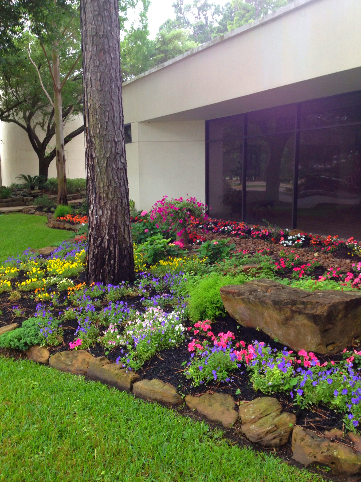 spruce up your garden with these helpful gardening tips | garden