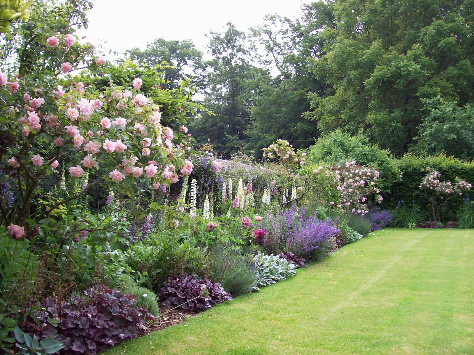 pin by ♥♥♥ backyard garden ♥♥♥ on garden borders | cottage