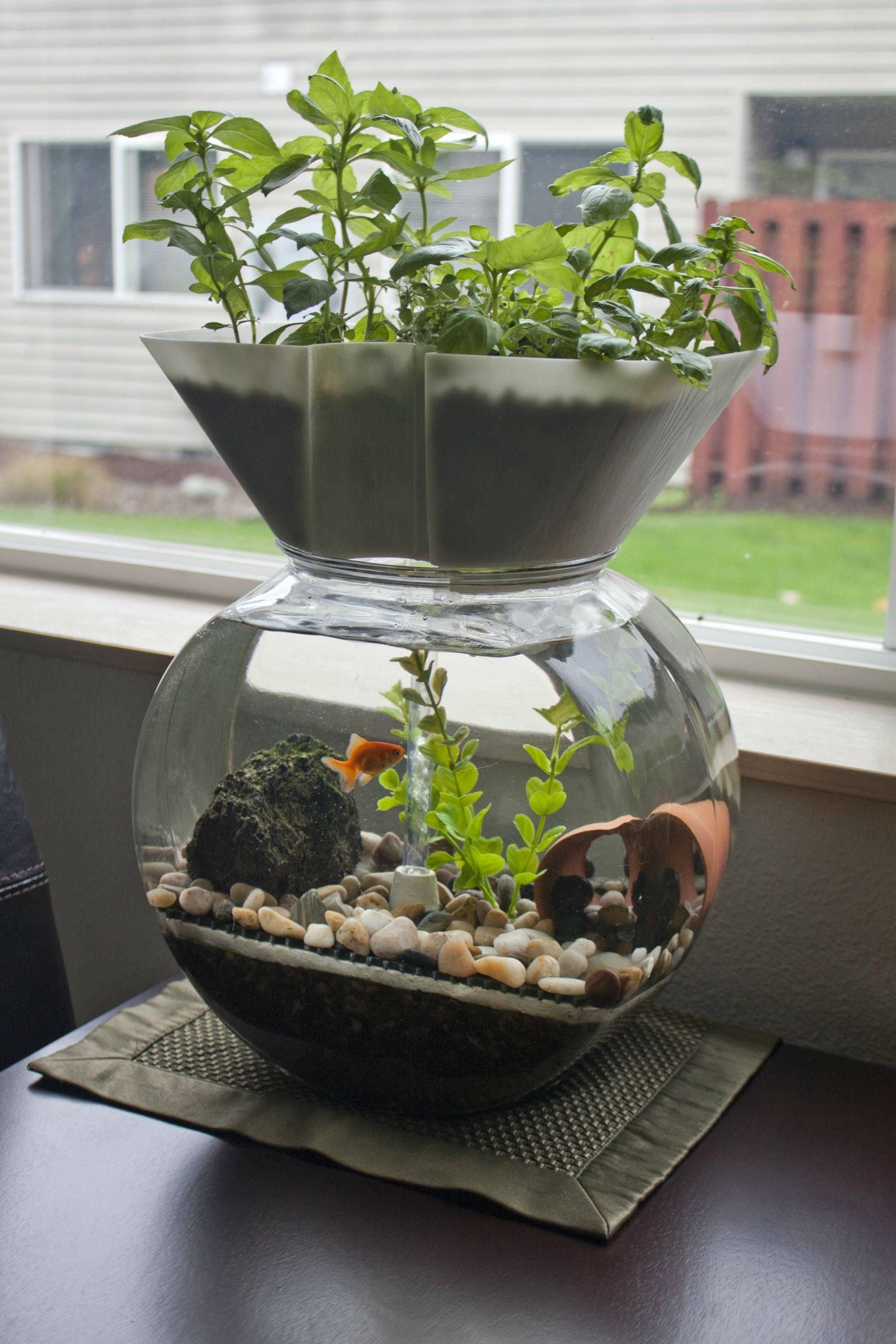 I invented this: The Goldfish Garden self-cleaning ...