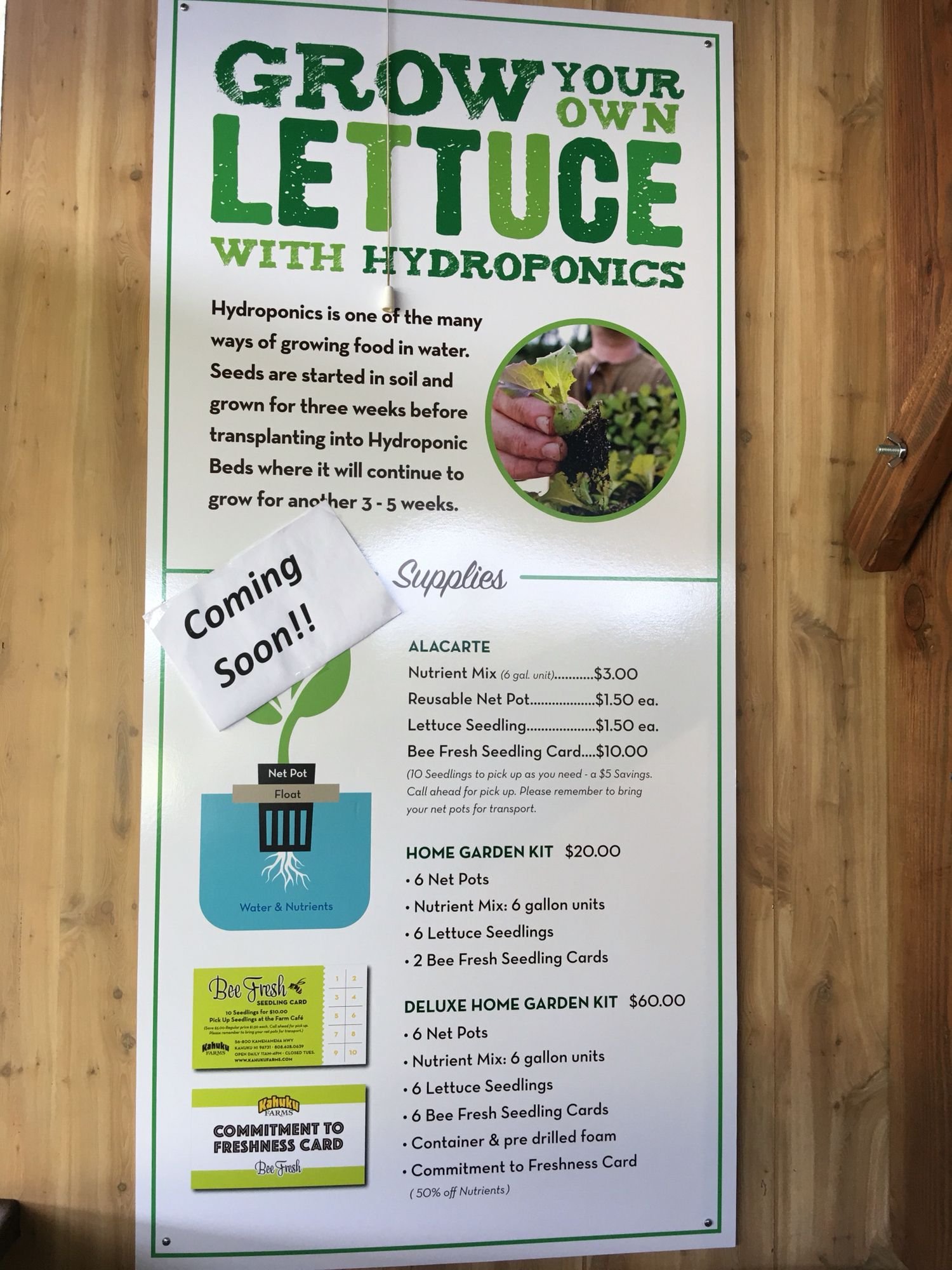 Gardening | Meals for one, Food, Hydroponics