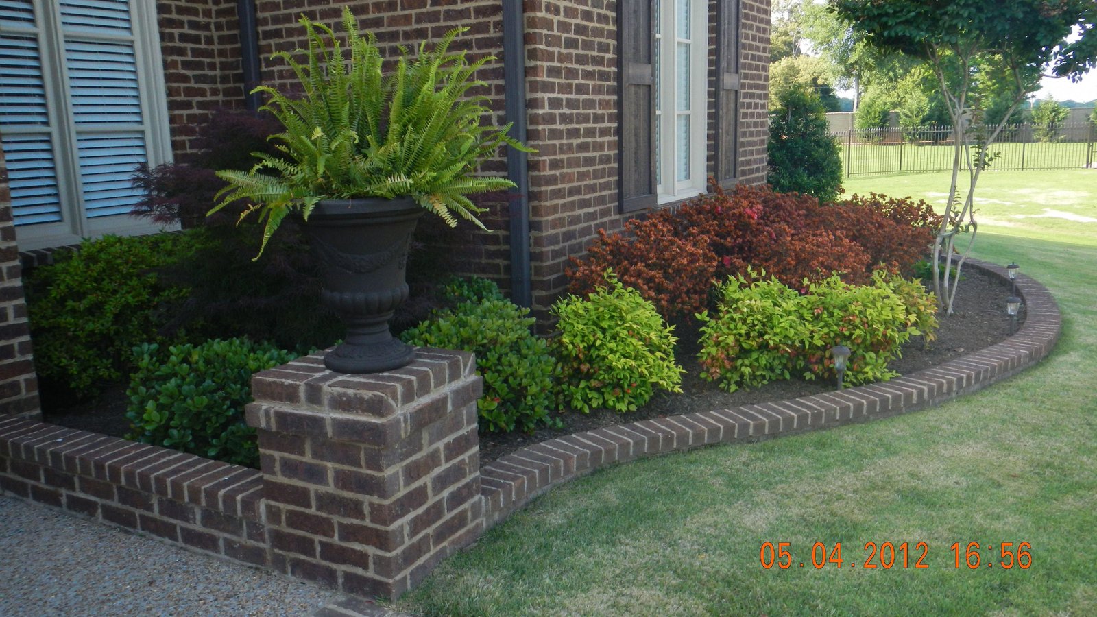 low maintenance landscaping bushes front yard landscaping