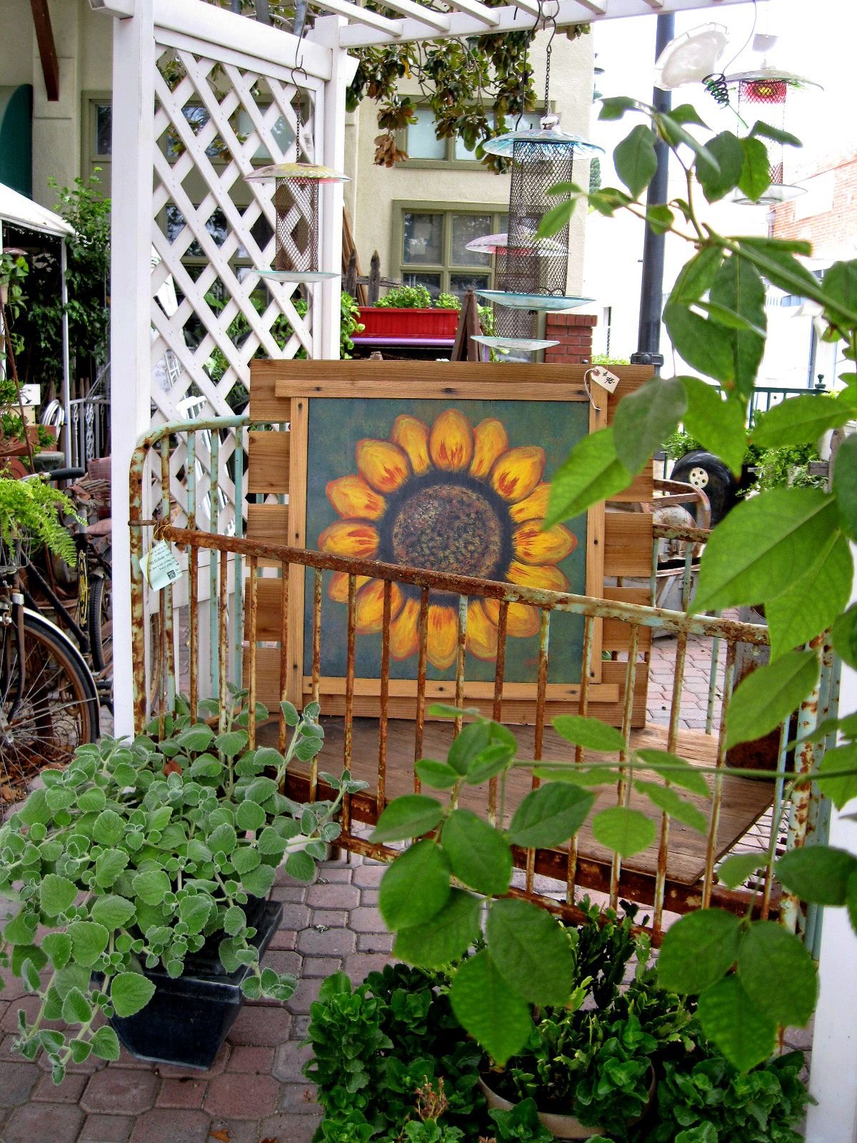 clovis, ca-- a secret garden patio as taken outside from the