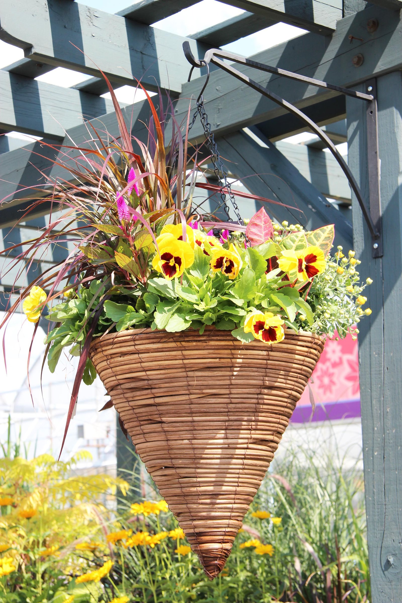 fall hanging basket | autumn inspirations | plants for hanging