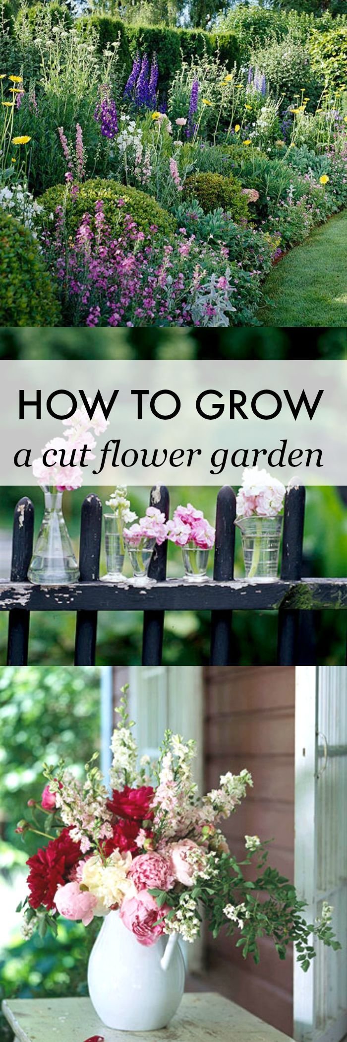 how to grow a cut flower garden | blogger home projects we love