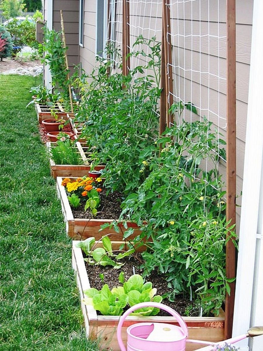 affordable backyard vegetable garden designs ideas 35 | garden