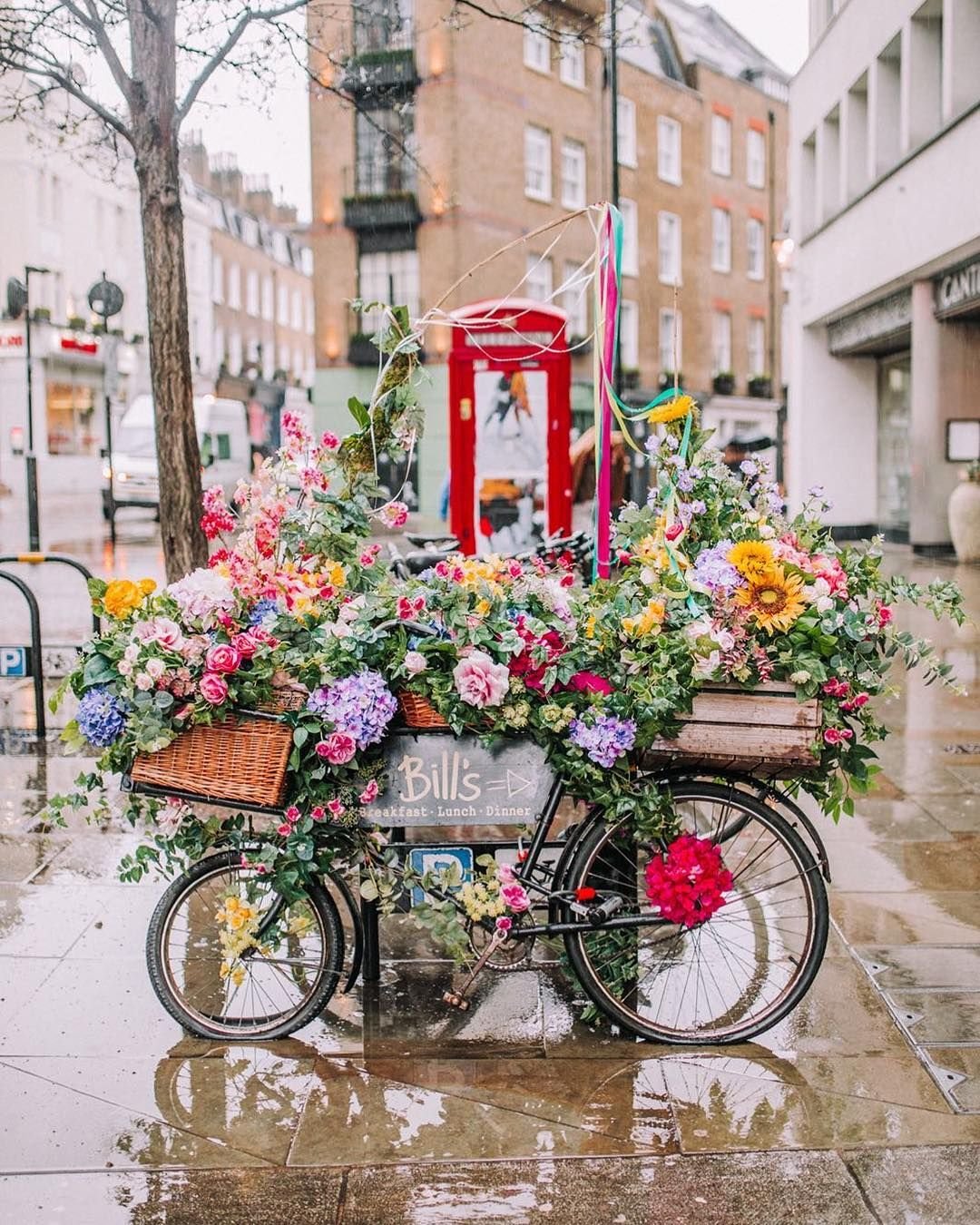 bill's covent carden | pretty city london in 2019 | london garden
