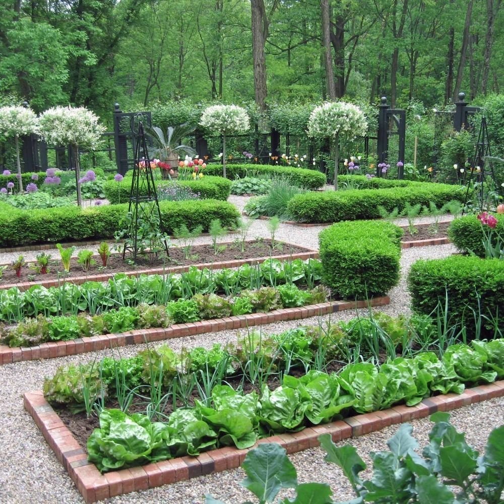 101 vegetable gardening tips & ideas | how does my garden grow