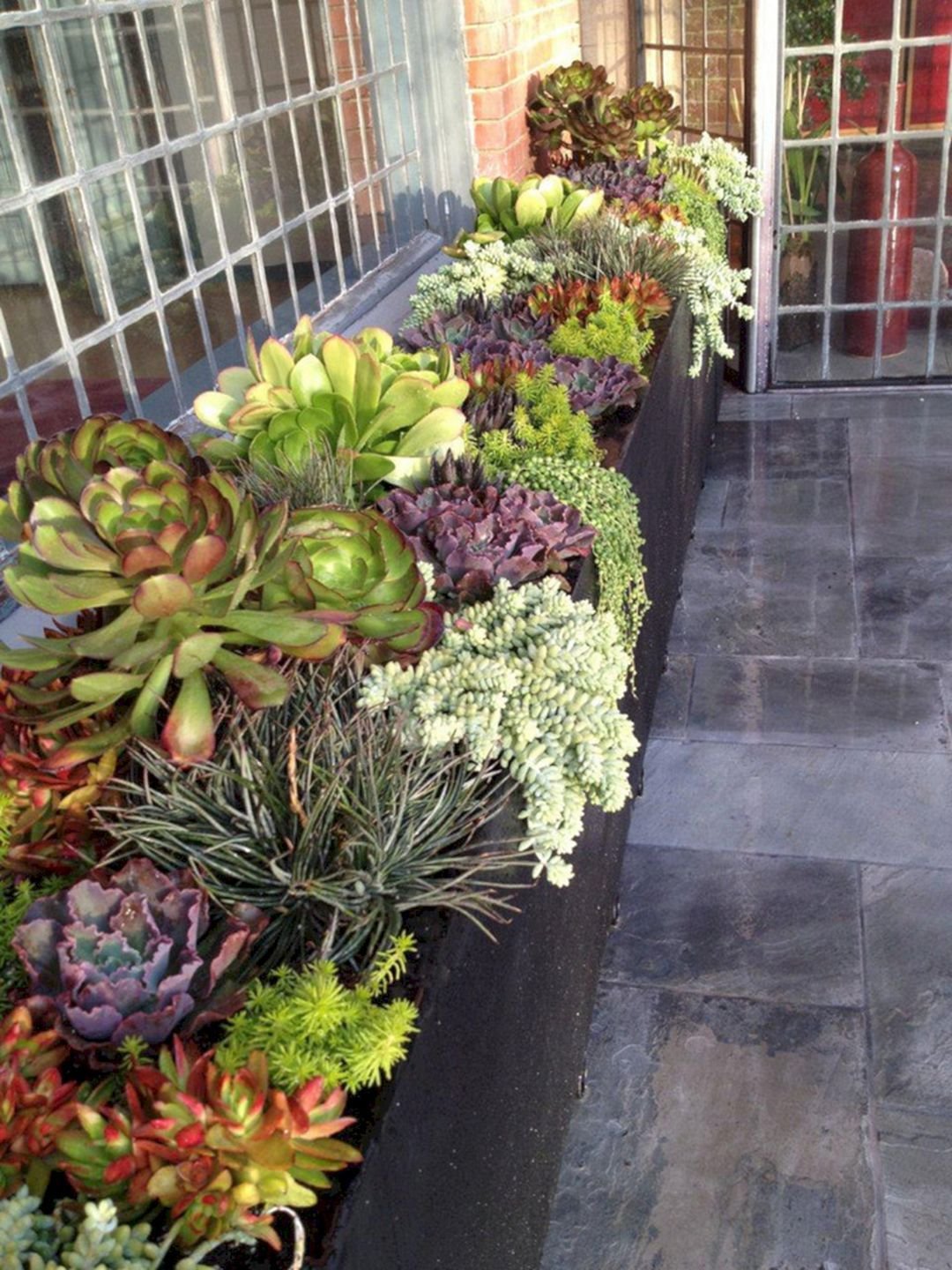 cool awesome container garden with succulents: 45+ best design ideas