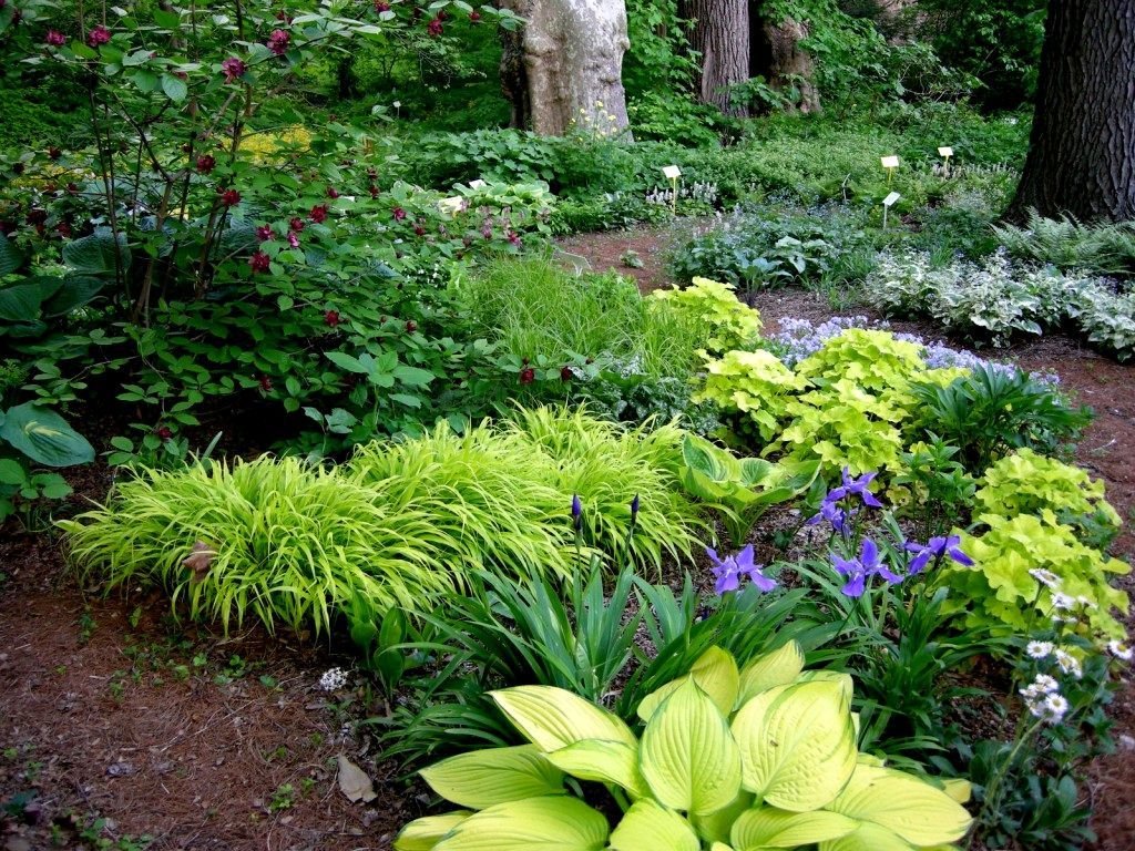 low maintenance landscaping ideas south florida florida backyard