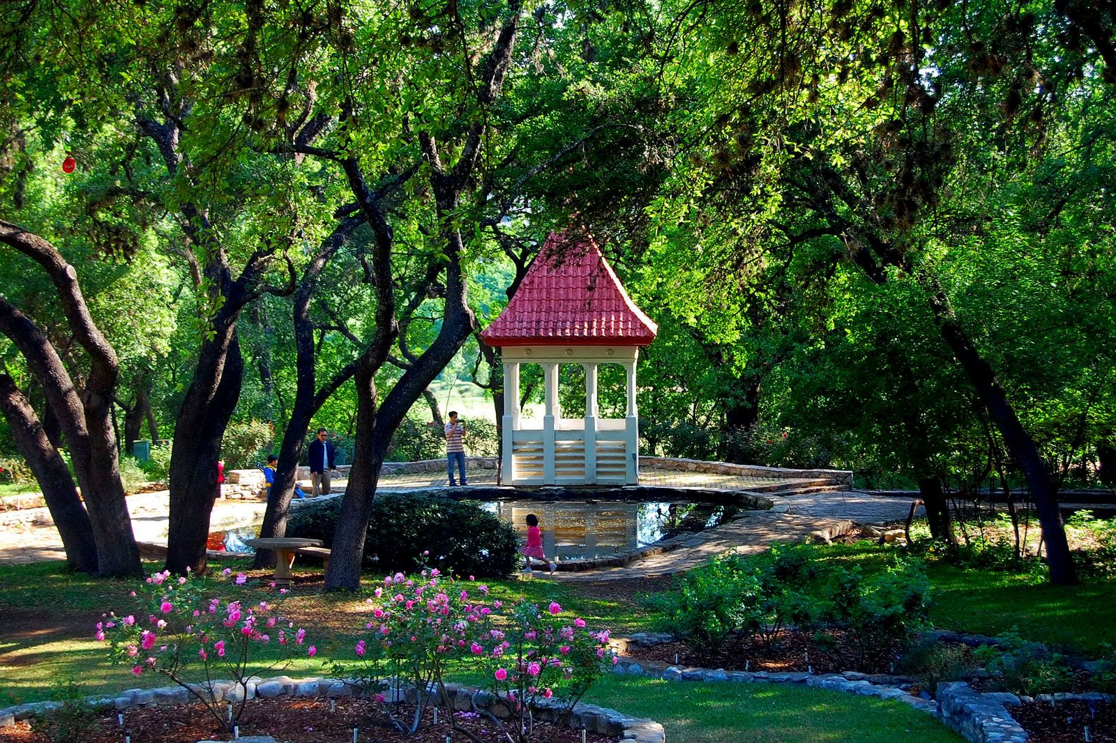 zilker botanical garden - google search | rose garden | botanical