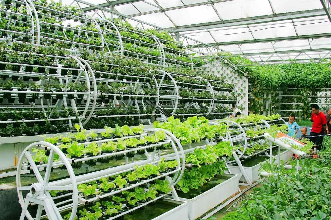 aquaponics | Aquaponics Pictures | Aqua Botantical ...