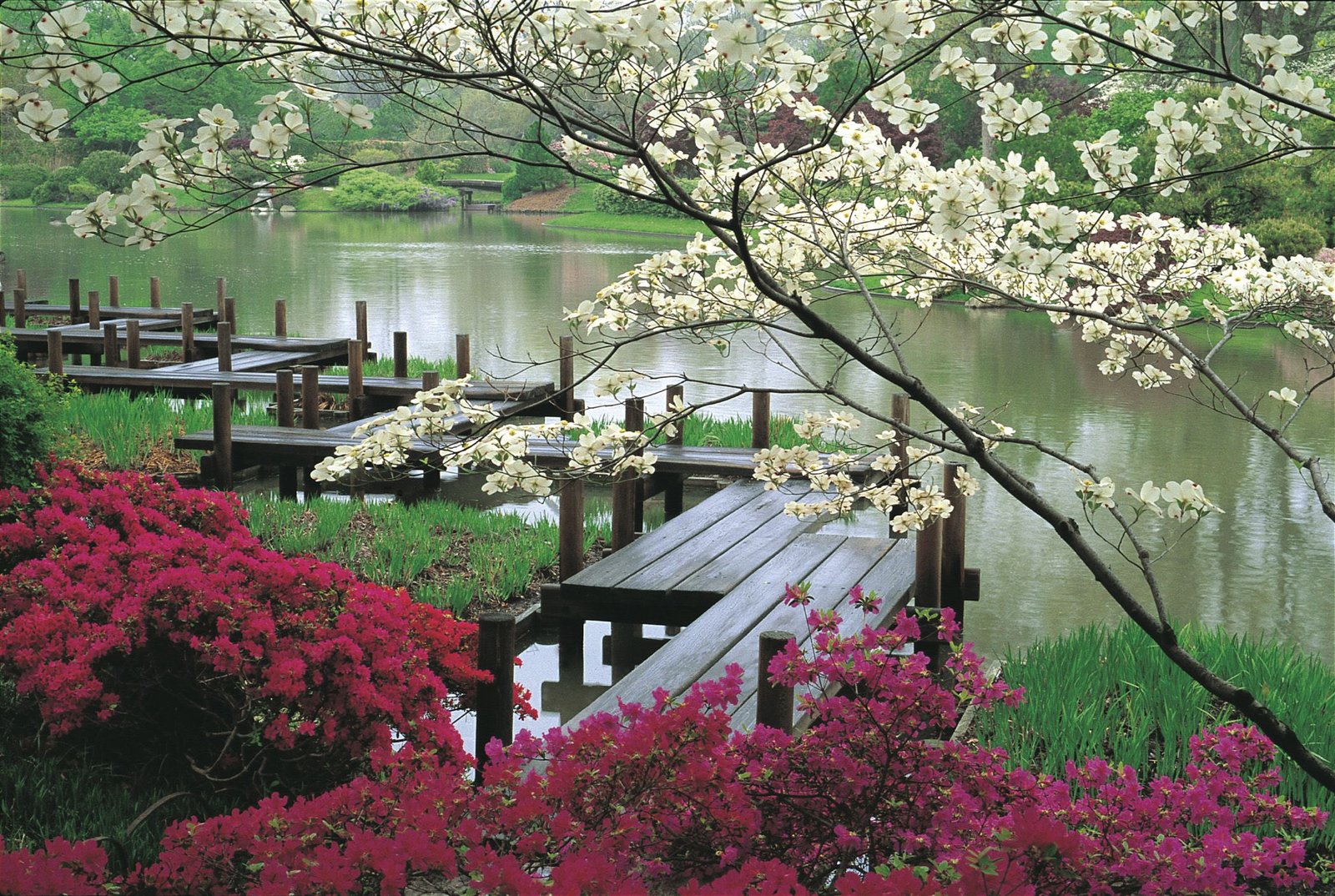 the zen of a japanese garden landscapes | peace | missouri botanical