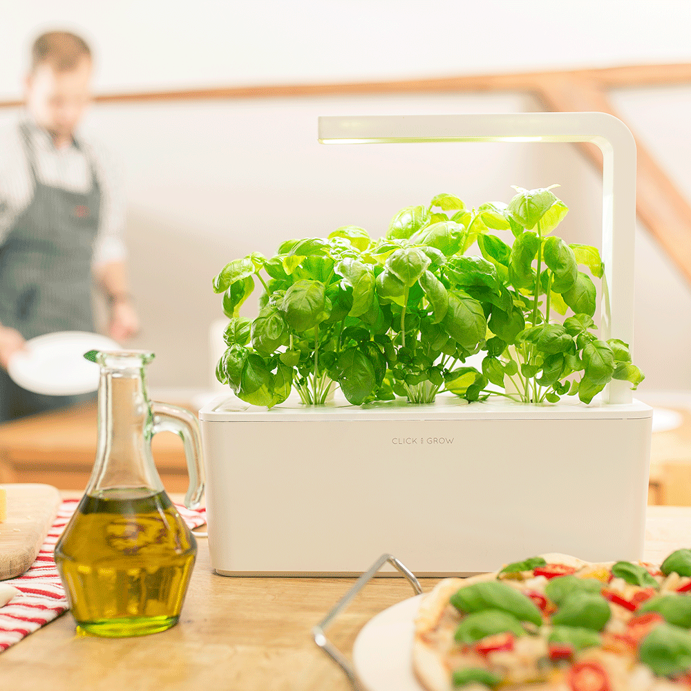 The Smart Garden 3 | Indoor vegetable gardening, Herbs ...