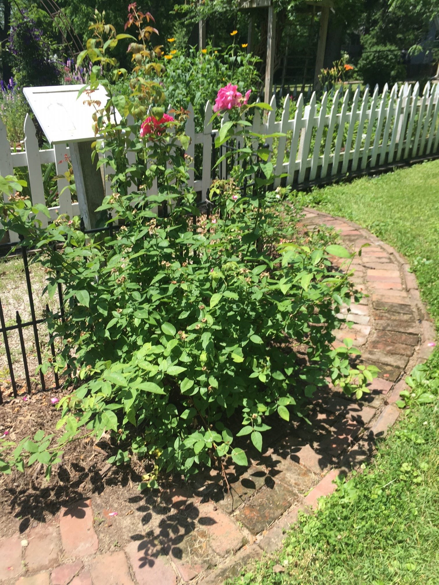community wide garden tour planned in iowa city