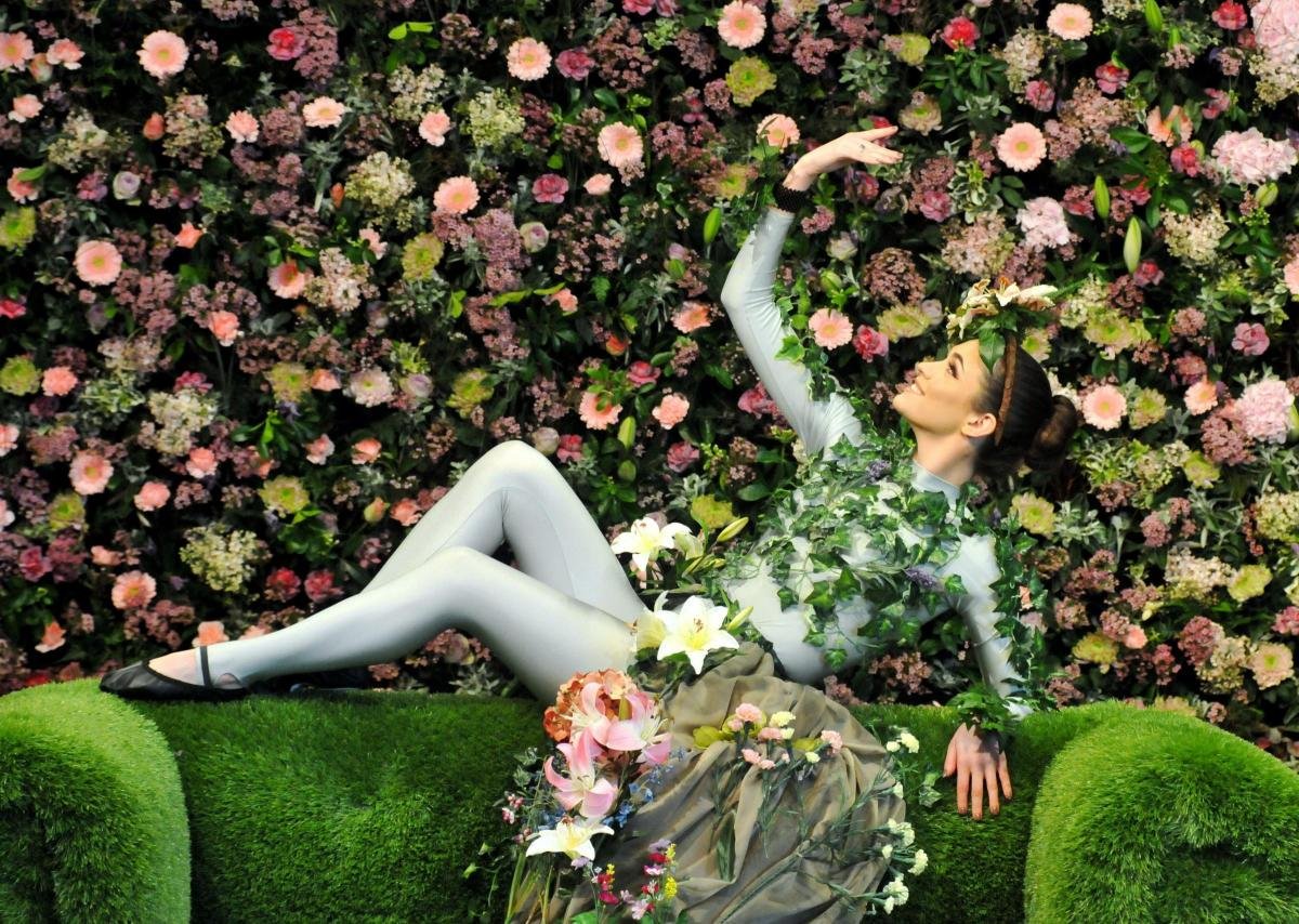 april flower shower: 8 photos from the harrogate spring flower show