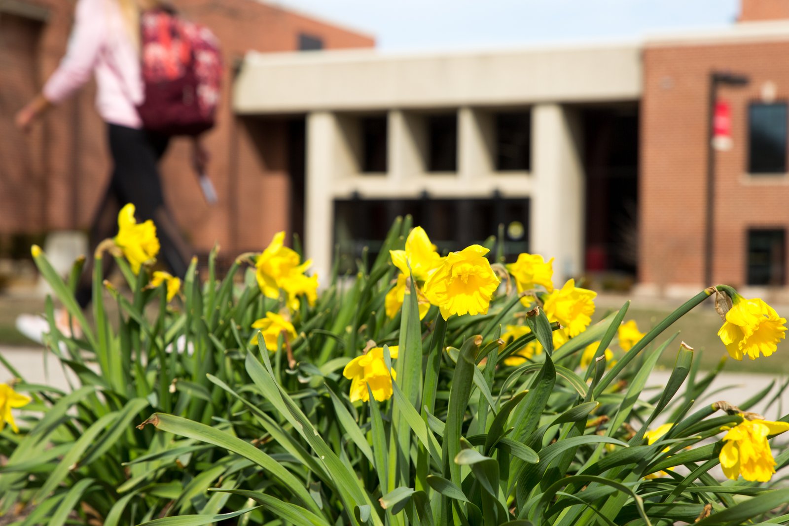 iowa state university