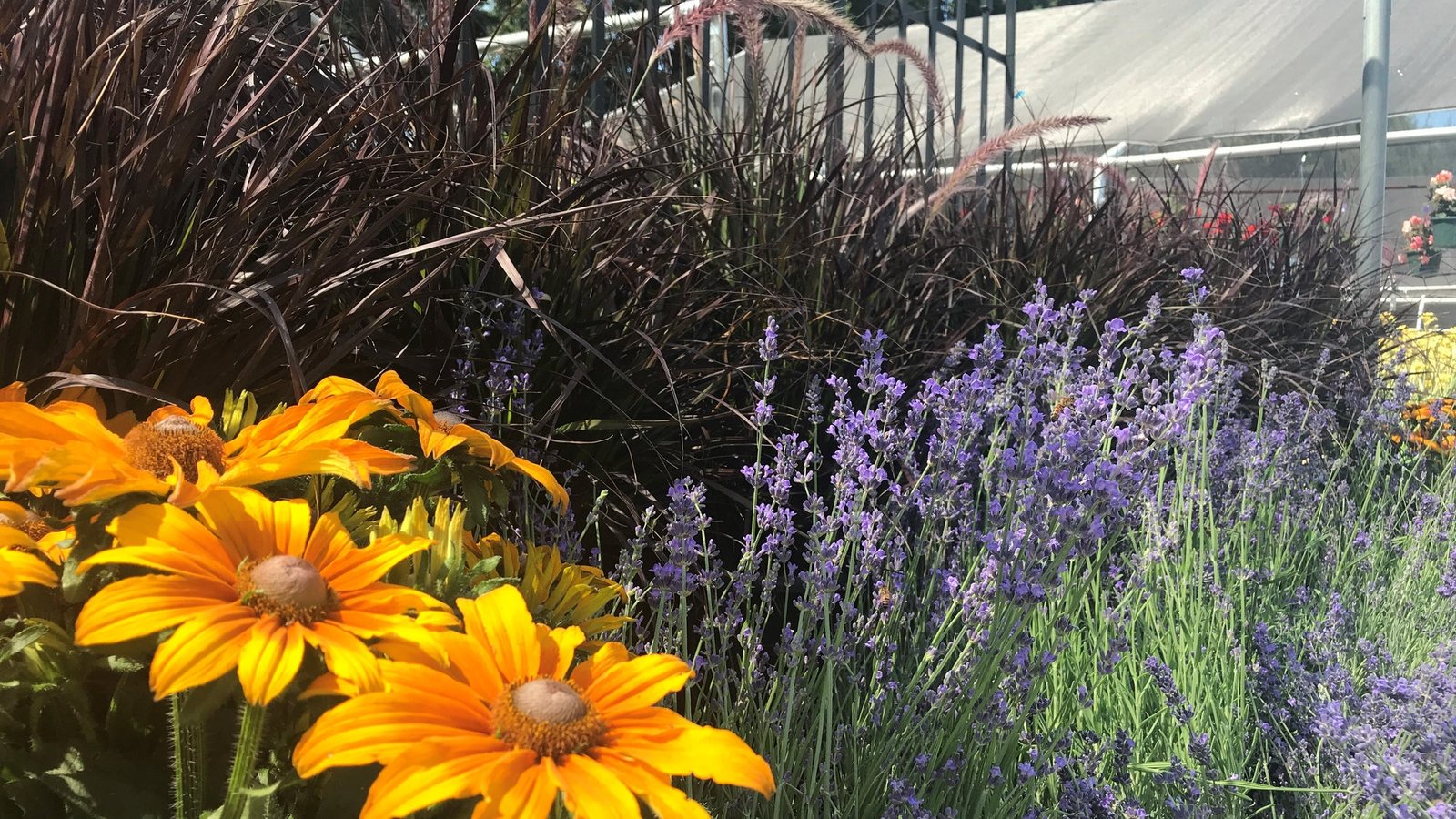 green acres nursery & supply