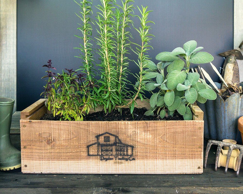 herb kits - wooden planter box | indoorherbkits