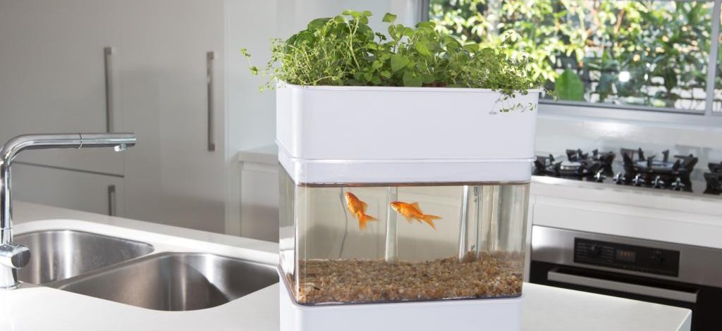 Canada's Aquaponics Store | JustAquaponics