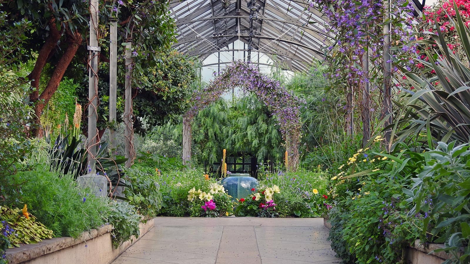 orchid extravaganza season | longwood gardens